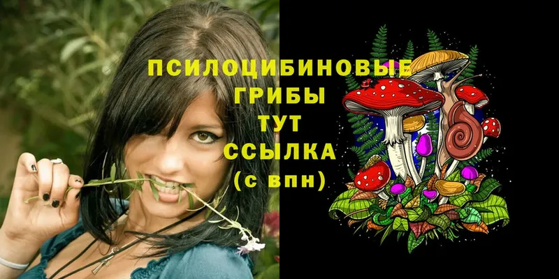 цена наркотик  кракен   Галлюциногенные грибы Psilocybe  Котовск 